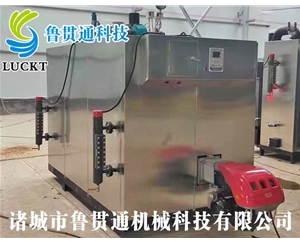 燃?xì)猓ㄓ停┱羝l(fā)生器 現(xiàn)貨供應(yīng)，工廠直銷，規(guī)格型號眾多，可來電咨詢