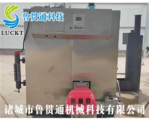 燃?xì)猓ㄓ停┱羝l(fā)生器 現(xiàn)貨供應(yīng)，工廠直銷，規(guī)格型號眾多，可來電咨詢