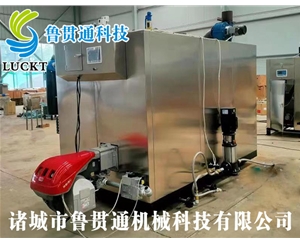 1噸燃?xì)猓ㄓ停┱羝l(fā)生器 現(xiàn)貨供應(yīng)，工廠直銷，規(guī)格型號眾多，可來電咨詢