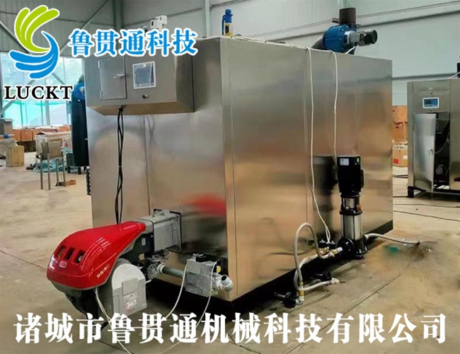 1噸燃?xì)猓ㄓ停┱羝l(fā)生器 現(xiàn)貨供應(yīng)，工廠直銷(xiāo)，規(guī)格型號(hào)眾多，可來(lái)電咨詢